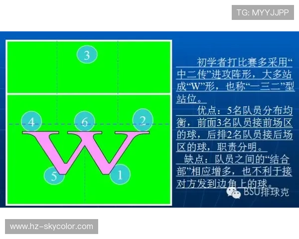 武汉排球队的战术风格与赛季表现深度分析与解读 武汉排球队的战术风格与赛季表现深度分析与解读