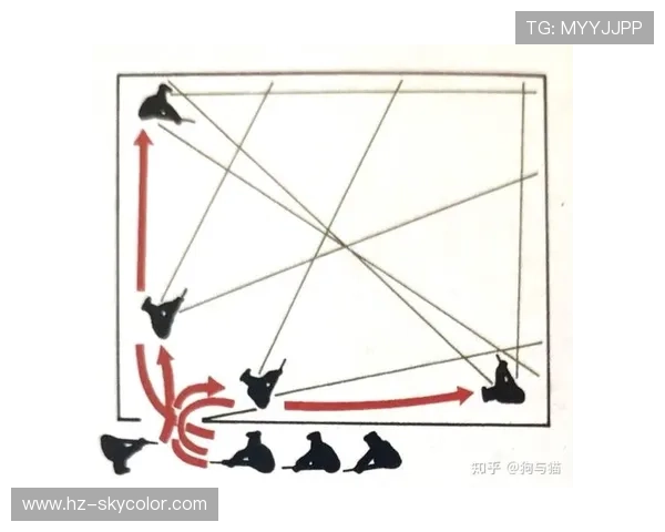 深圳乒乓球队整体压制打法解析与战术优势探讨